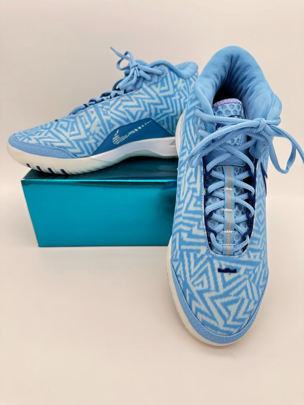 NWOB Nike Men's Zoom LeBron NXXT GENISUS Basketball Shoes, Size 10.5, Blue/White